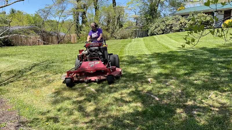 Lawn Mowing 